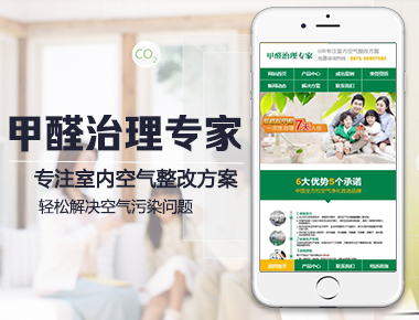 甲醛治理专家