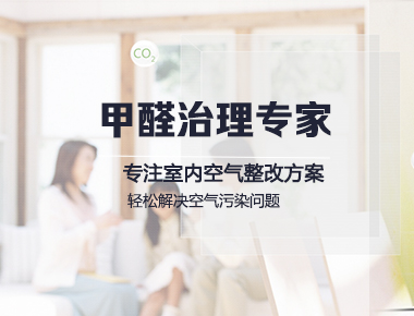 甲醛治理专家